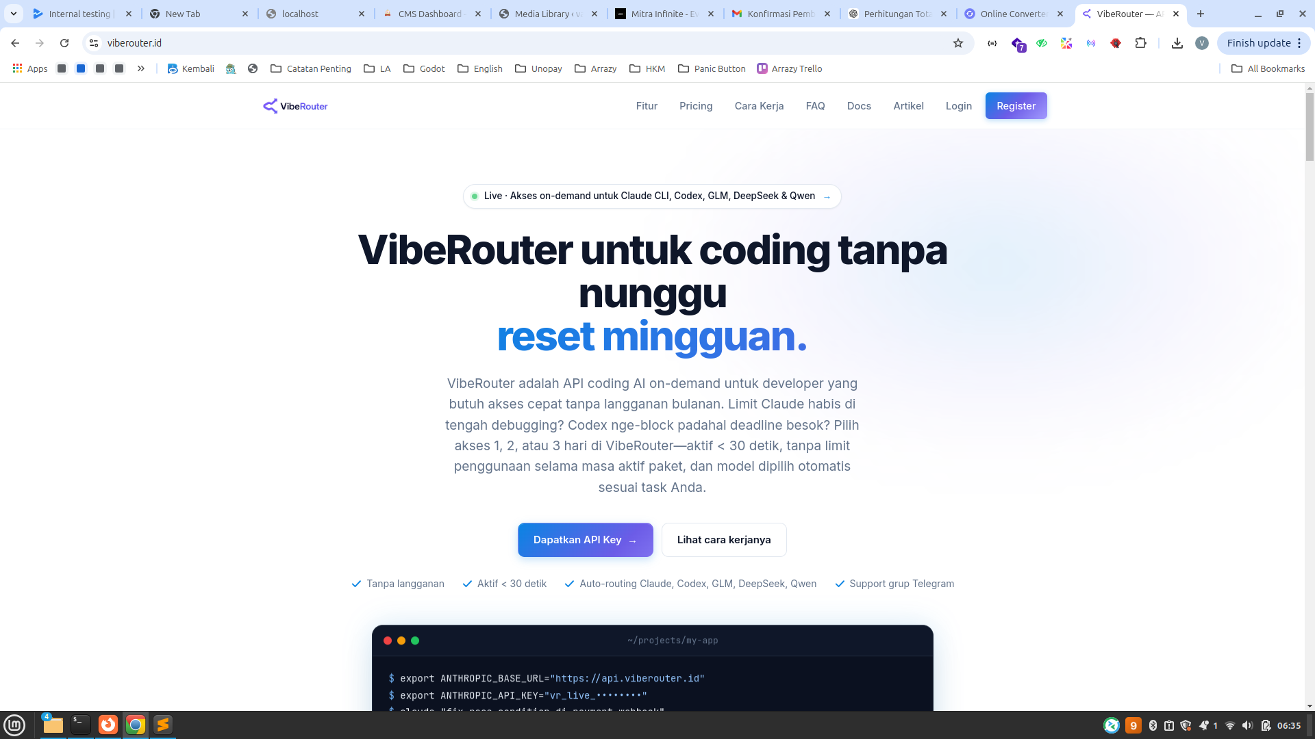 Halaman utama VibeRouter